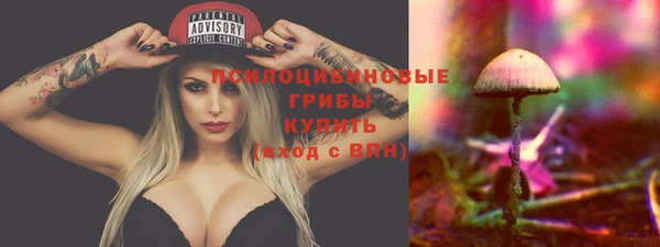 шишки Кулебаки
