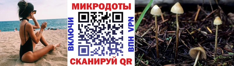 Псилоцибиновые грибы GOLDEN TEACHER  Купить закладки  Богданович 